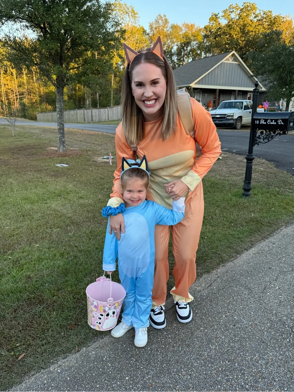 Kids Blue and Orange Animal Costume Set - Fox and Blue Character